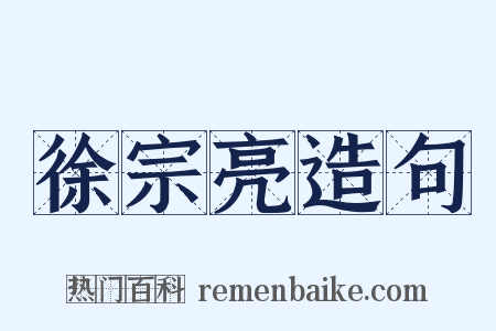 徐宗亮造句是什么意思的图片